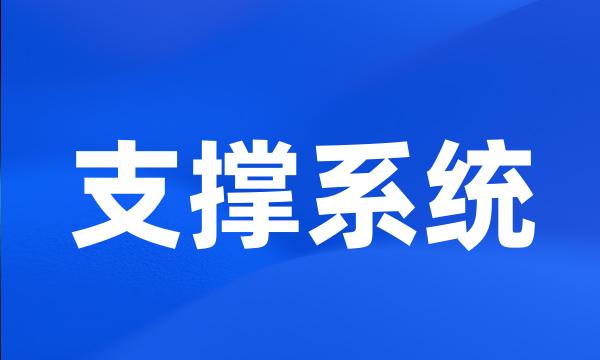 支撑系统