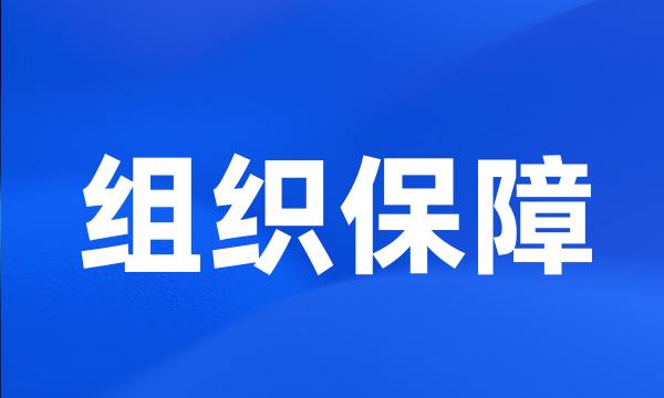 组织保障