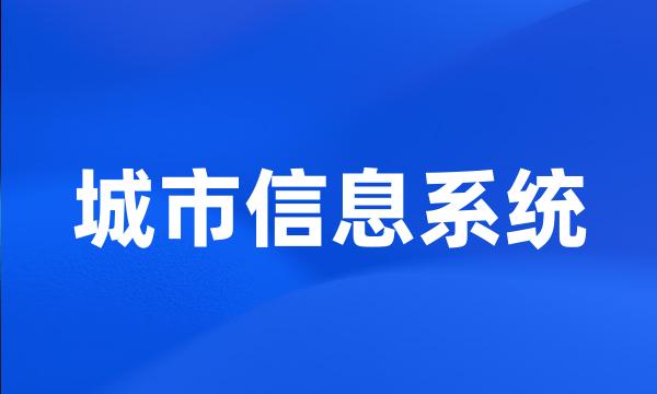 城市信息系统