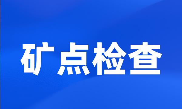 矿点检查