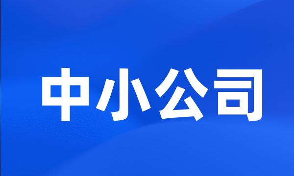 中小公司