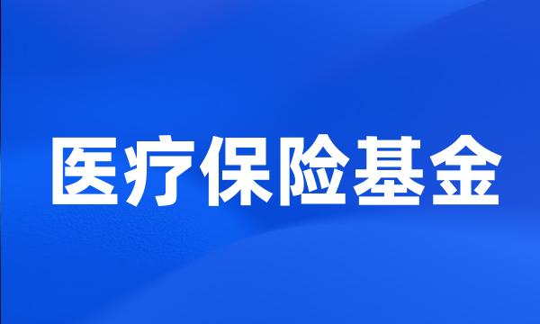 医疗保险基金