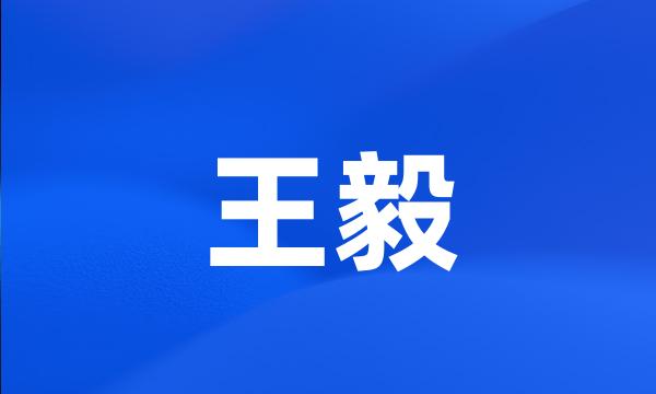 王毅