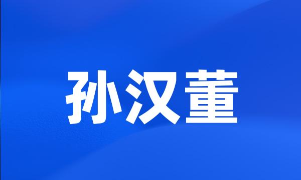 孙汉董