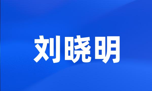 刘晓明