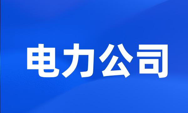 电力公司