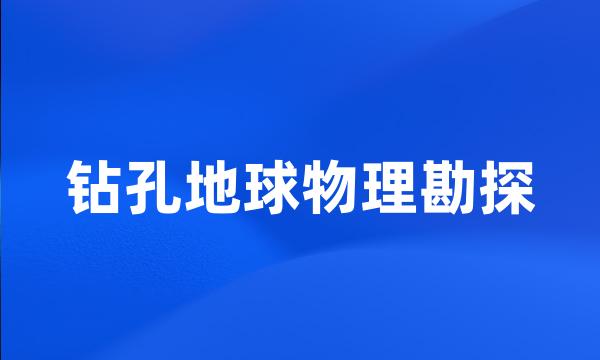 钻孔地球物理勘探