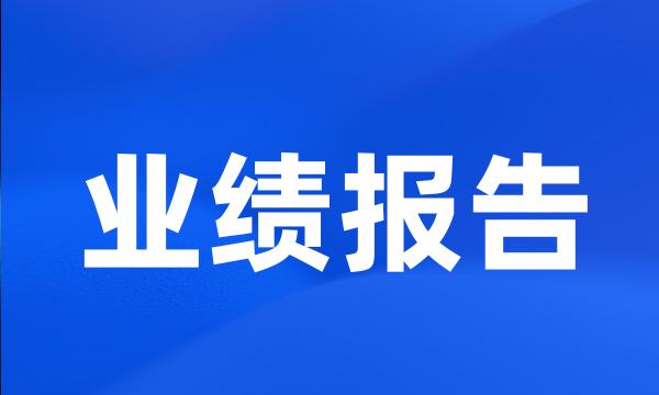 业绩报告