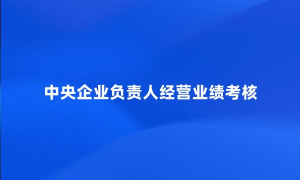 中央企业负责人经营业绩考核