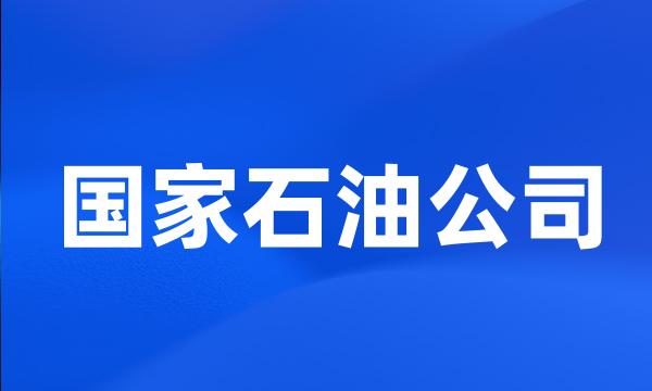 国家石油公司