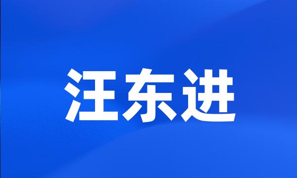 汪东进