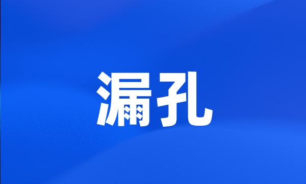 漏孔