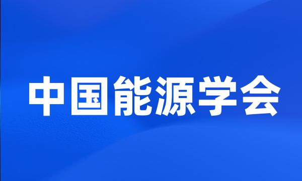 中国能源学会