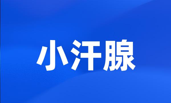 小汗腺