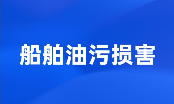 船舶油污损害