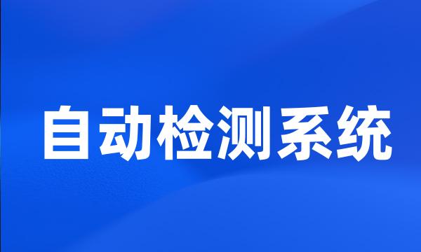 自动检测系统