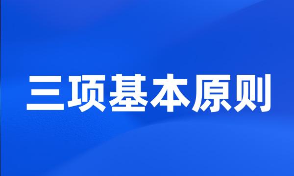 三项基本原则