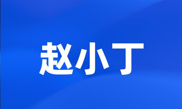 赵小丁