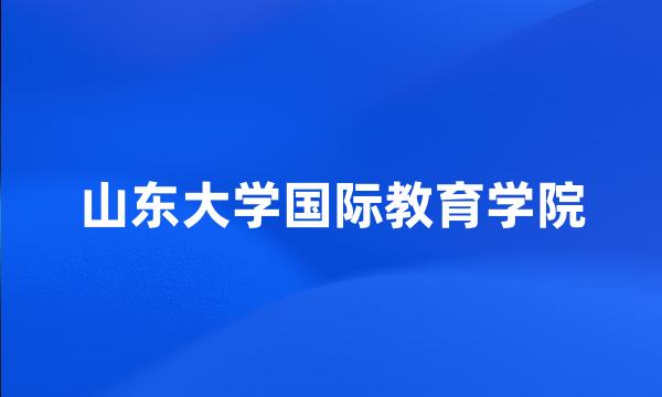 山东大学国际教育学院