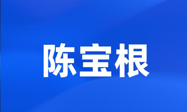 陈宝根