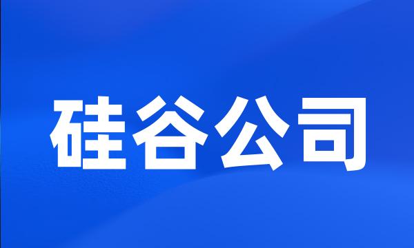 硅谷公司