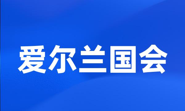 爱尔兰国会