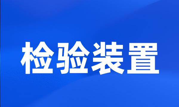 检验装置