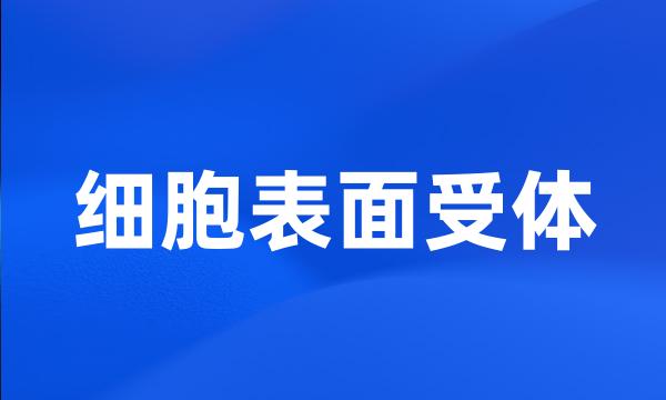 细胞表面受体