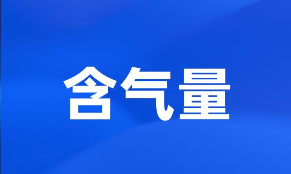 含气量