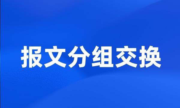 报文分组交换