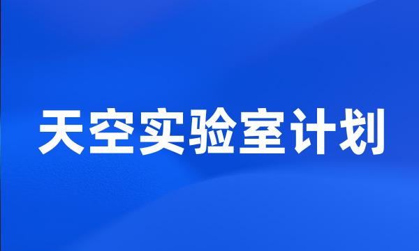 天空实验室计划