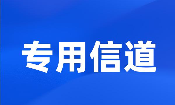 专用信道