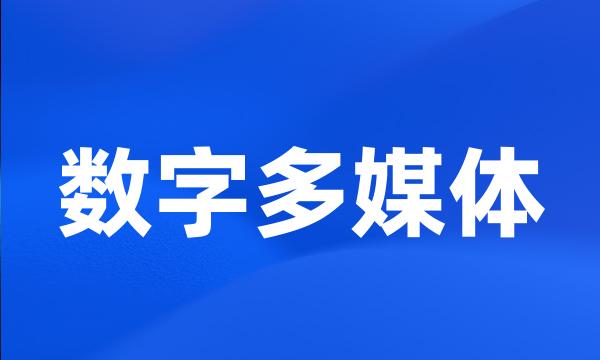 数字多媒体