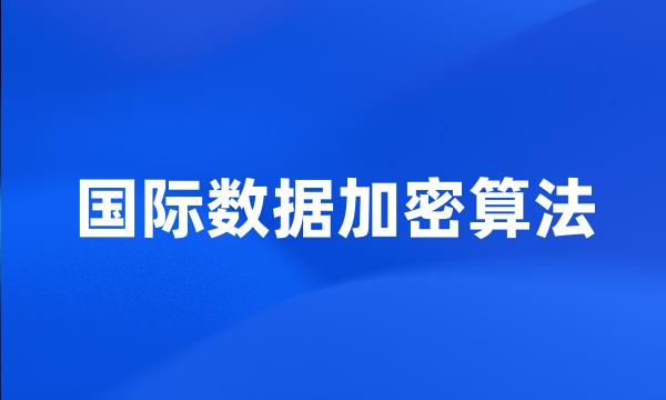 国际数据加密算法