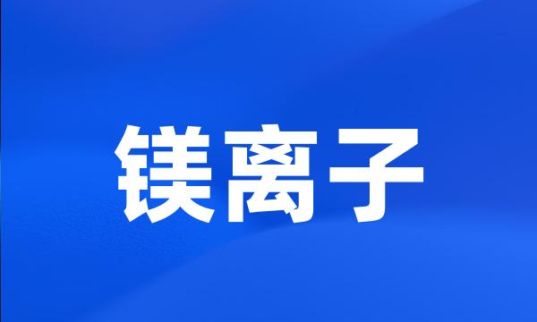 镁离子