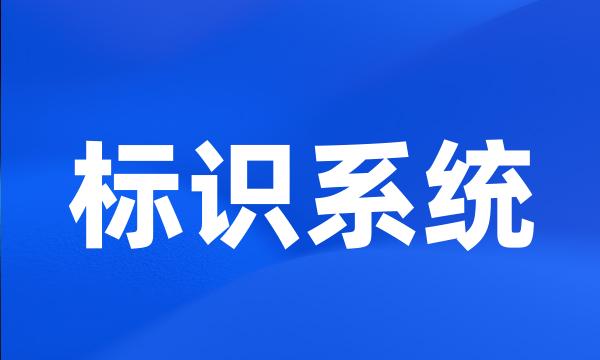 标识系统