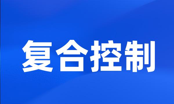 复合控制