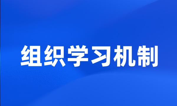 组织学习机制