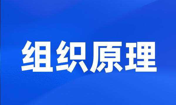 组织原理