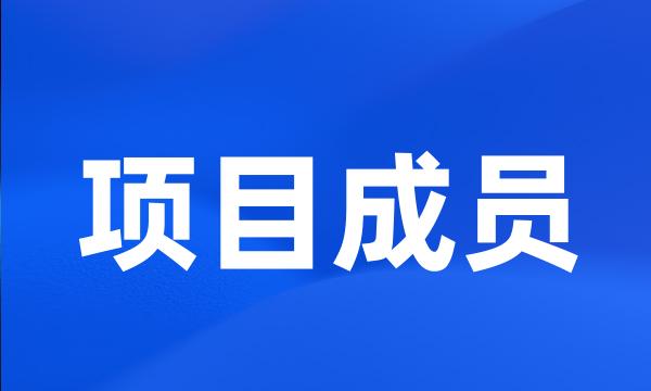 项目成员