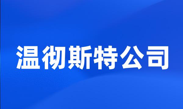 温彻斯特公司