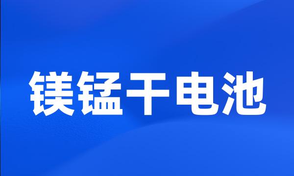 镁锰干电池