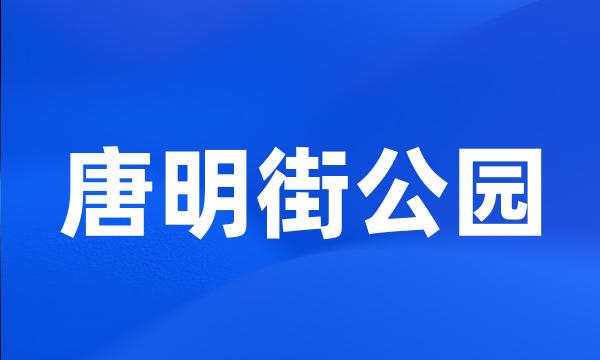 唐明街公园