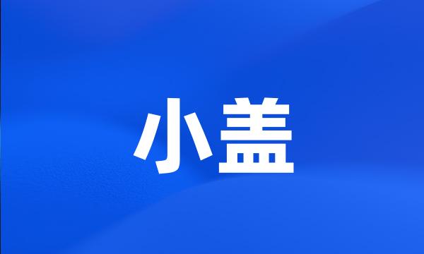 小盖