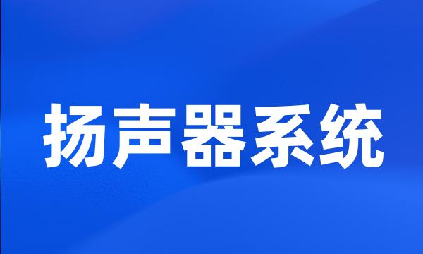 扬声器系统