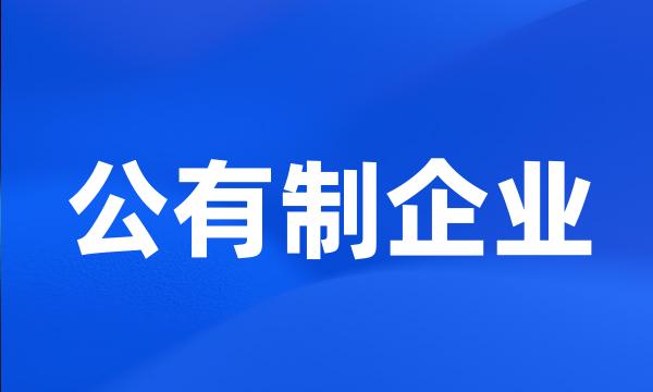 公有制企业