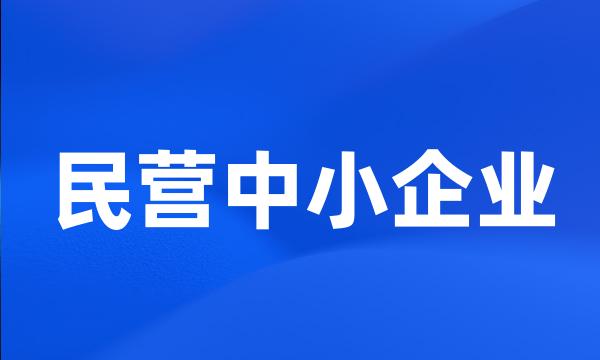 民营中小企业