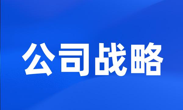 公司战略