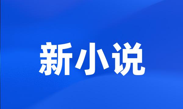 新小说