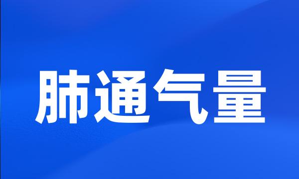 肺通气量